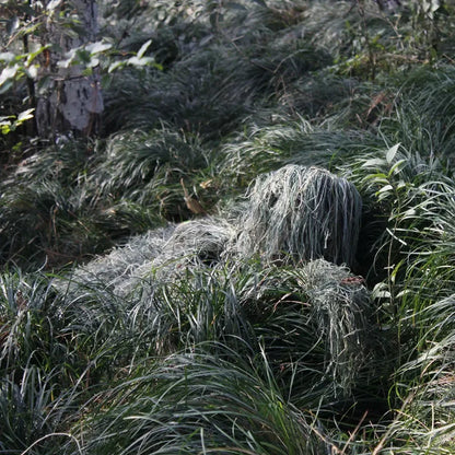 ShopKahn's Tactical Ghillie Suit